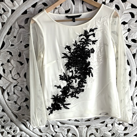White House black market gorgeous delicate sheer sleeve black and warm white top - Picture 1 of 6